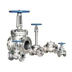 CS Gate & Globe Valve Flange Type