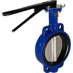 CI Butterfly Valve