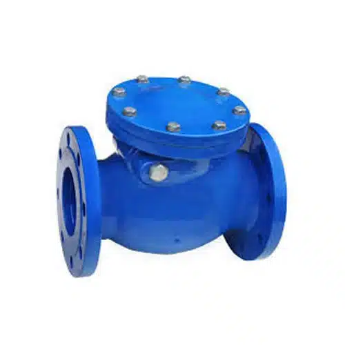 CI Flange Type Check Valve
